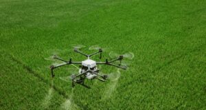 Ventas de productos para la protección de cultivos en Perú bordearían los US$ 310 millones en 2024