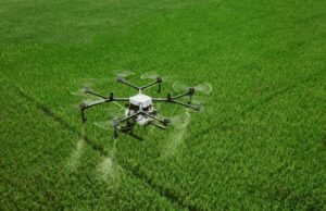 Ventas de productos para la protección de cultivos en Perú bordearían los US$ 310 millones en 2024