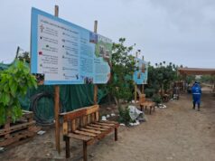 Salvan Cordón Ecológico en Pachacútec