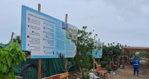 Salvan Cordón Ecológico en Pachacútec