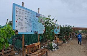 Salvan Cordón Ecológico en Pachacútec