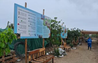 Salvan Cordón Ecológico en Pachacútec