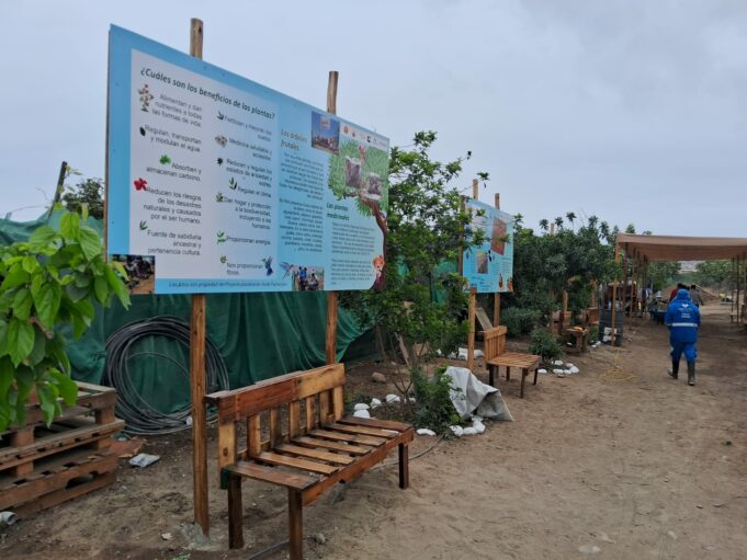 Salvan Cordón Ecológico en Pachacútec