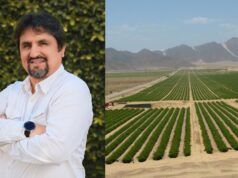 La Libertad: Falta de Energía Pone en Riesgo Expansión de Agroexportación