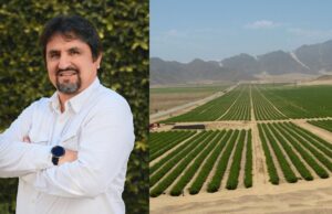 La Libertad: Falta de Energía Pone en Riesgo Expansión de Agroexportación