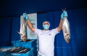 PRODUCE promocionó cinco toneladas de pescado fresco a precios cómodos y accesibles para los vecinos del distrito de Ate