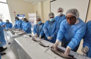 Ministerio de la Producción prevé capacitar a más de 1000 pescadores artesanales para mejorar su competitividad