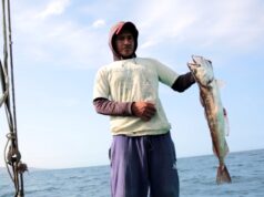 Ministerio de la Producción establece en 30 821 toneladas la cuota de captura del recurso merluza