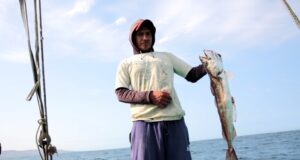 Ministerio de la Producción establece en 30 821 toneladas la cuota de captura del recurso merluza