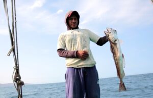 Ministerio de la Producción establece en 30 821 toneladas la cuota de captura del recurso merluza