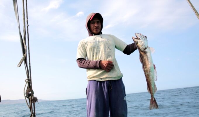 Ministerio de la Producción establece en 30 821 toneladas la cuota de captura del recurso merluza