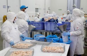 Perú cumple con requisitos para exportar productos de la acuicultura a la Unión Europea