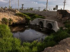 Presentan nueva campaña para enfrentar la contaminación ambiental en Perú