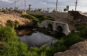 Presentan nueva campaña para enfrentar la contaminación ambiental en Perú