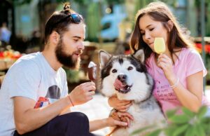 Descubra las nuevas tendencias que están revolucionando el mercado de helados en el Perú