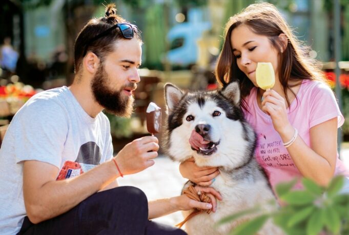 Descubra las nuevas tendencias que están revolucionando el mercado de helados en el Perú