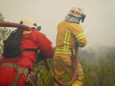 Brigadas continúan batallando en apagar incendio forestal de gran magnitud en Amazonas
