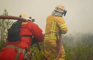 Brigadas continúan batallando en apagar incendio forestal de gran magnitud en Amazonas