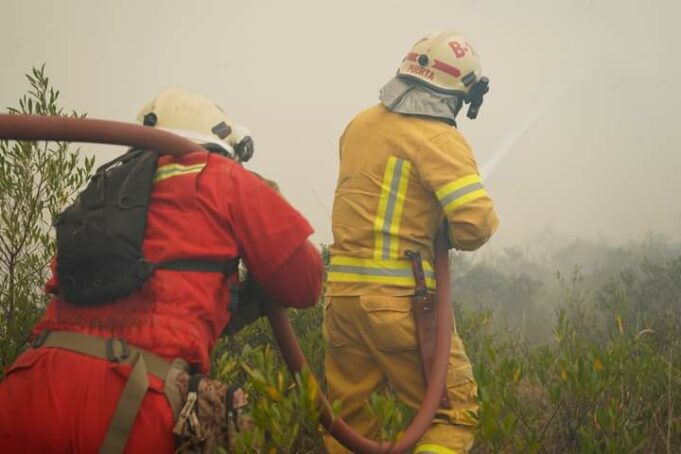 Brigadas continúan batallando en apagar incendio forestal de gran magnitud en Amazonas