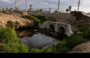 Los Pantanos de Villa en Chorrillos se ahogan en la contaminación y acumulación de basura