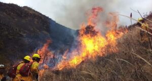 Pueblos indígenas, rechazan acusaciones por incendios forestales del gobierno