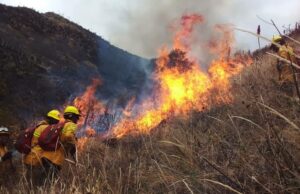 Pueblos indígenas, rechazan acusaciones por incendios forestales del gobierno