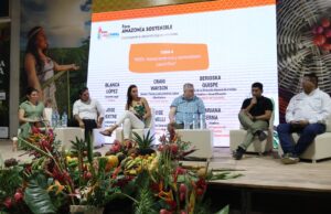 Experiencia de reducción de la deforestación generará 55 millones de dólares