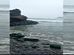 Policía de Salvataje busca a joven que se lanzó al mar de Asia