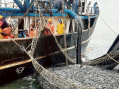 China impulsa la industria pesquera en el Perú con llegada de embarcaciones del país asiático(VIDEO)