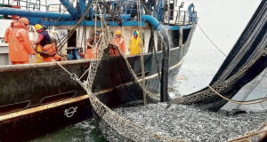 China impulsa la industria pesquera en el Perú con llegada de embarcaciones del país asiático(VIDEO)