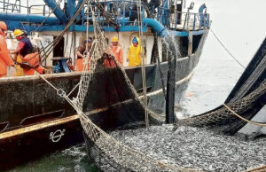 China impulsa la industria pesquera en el Perú con llegada de embarcaciones del país asiático(VIDEO)