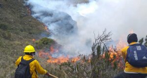Consejo Regional de Decanos de los Colegios Profesionales de Lima se unen a la campaña de ayuda a la Amazonía por los incendios forestales