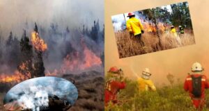 Incendios forestales en Perú:fuego se esparce en más de cuatro regiones del país y deja seis muertos y más de 59 heridos