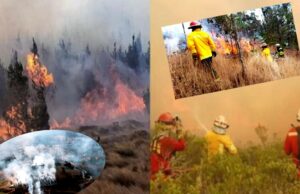 Incendios forestales en Perú:fuego se esparce en más de cuatro regiones del país y deja seis muertos y más de 59 heridos
