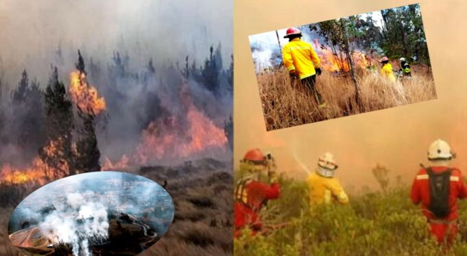 Incendios forestales en Perú:fuego se esparce en más de cuatro regiones del país y deja seis muertos y más de 59 heridos