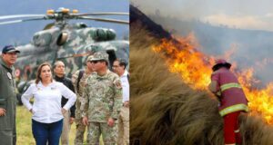 Dina Boluarte declara en estado de emergencia Amazonas, San Martín y Ucayali por incendios forestales