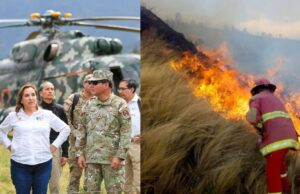 Dina Boluarte declara en estado de emergencia Amazonas, San Martín y Ucayali por incendios forestales
