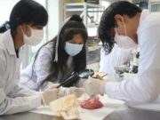 Minedu reconoce a más de un millón de estudiantes de secundaria técnica, Cetpro e Institutos Tecnológicos