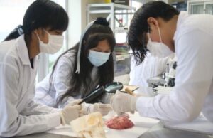 Minedu reconoce a más de un millón de estudiantes de secundaria técnica, Cetpro e Institutos Tecnológicos