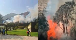 Incendios llegan a Lima: arde bosque y asusta a alumnos de Colegios de Alto Rendimiento de Huampaní