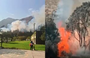Incendios llegan a Lima: arde bosque y asusta a alumnos de Colegios de Alto Rendimiento de Huampaní