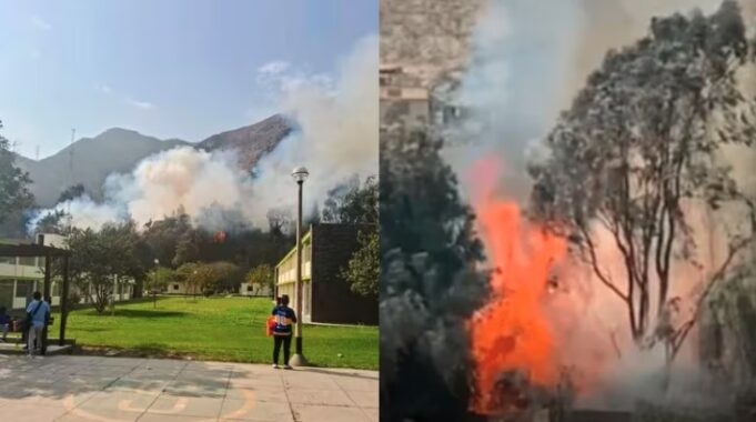 Incendios llegan a Lima: arde bosque y asusta a alumnos de Colegios de Alto Rendimiento de Huampaní