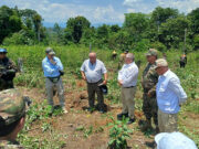 Mininter supervisa las acciones de erradicación de cultivos ilegales de coca en Aguaytía