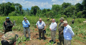 Mininter supervisa las acciones de erradicación de cultivos ilegales de coca en Aguaytía