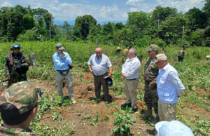 Mininter supervisa las acciones de erradicación de cultivos ilegales de coca en Aguaytía