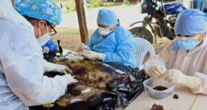 Junín: Fiscalía Especializada en Derechos Humanos dirige exhumación de restos de víctima de tortura en Satipo