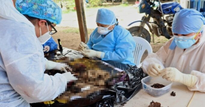 Junín: Fiscalía Especializada en Derechos Humanos dirige exhumación de restos de víctima de tortura en Satipo