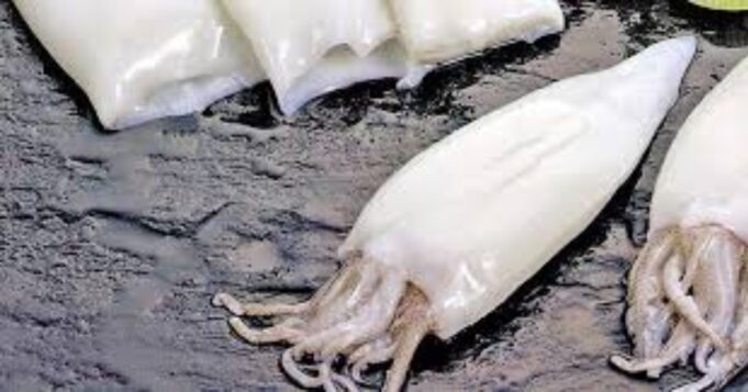 Disminución en exportaciones de pota: ¿Cómo los incentivos económicos moldean su mercado?