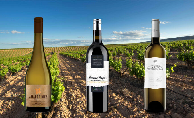 “Cuatro Rayas” reafirma su liderazgo como una de las bodegas de vinos blancos más destacadas del año de España