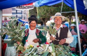 CEPAL analizará el impacto de Pensión 65 durante sus 13 años como programa social